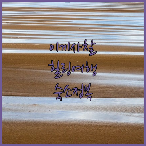 이끼 사찰 고묘젠지 힐링 여행 및 다..