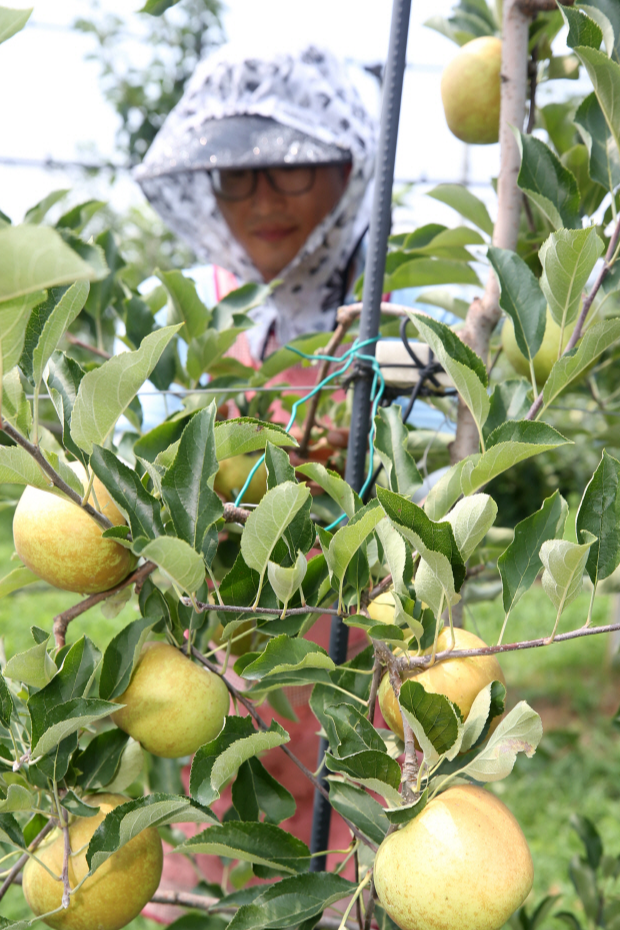 계절의 변화를 세분화한 24 절기 중 '입추' 이해하기