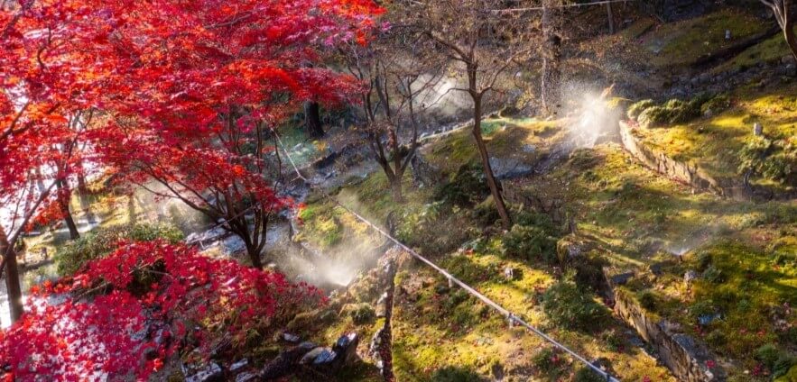 전국 가을축제 일정