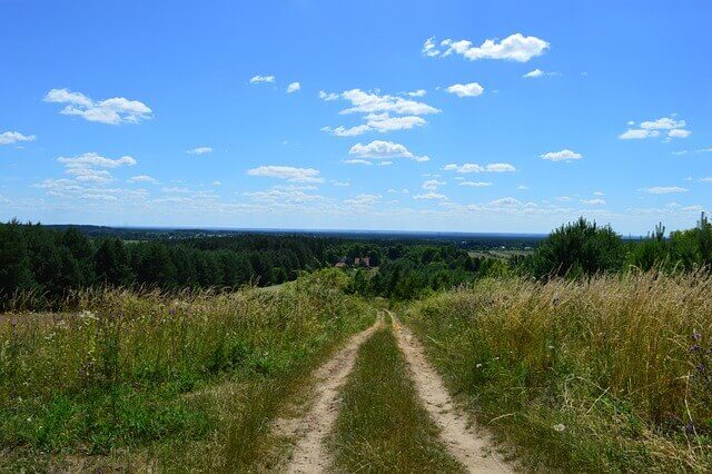 친환경-진드기-퇴치제2