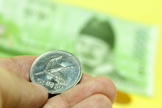 민생지원금25만원