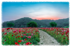 악양 생태공원