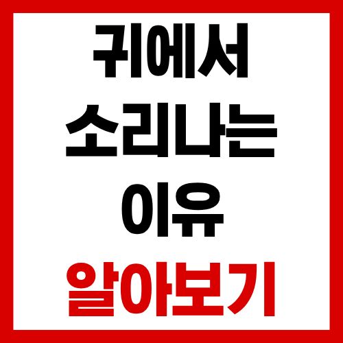 가만히 있으면 귀에서 소리가 나는 이유