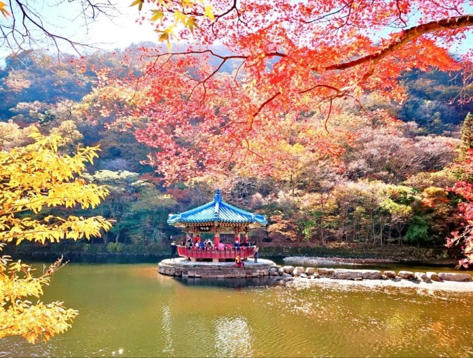 내장산국립공원-우화정-가을