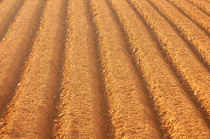 경북 농어민 수당