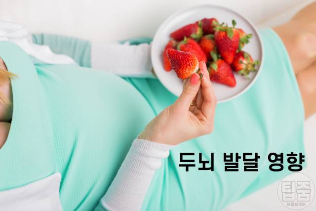 딸기 효능,장내 미생물 다이어트,천연 엽산 영양제