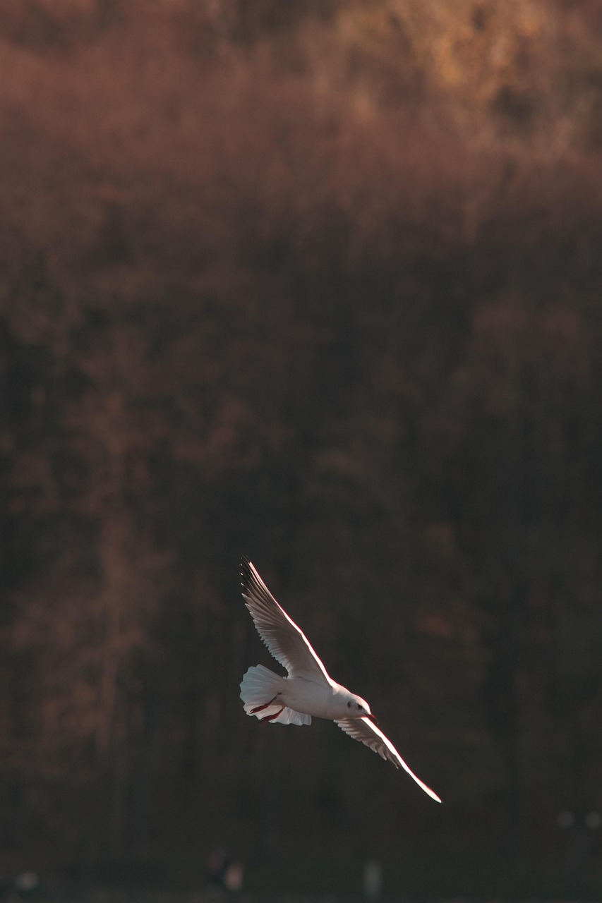 연말정산 모바일 홈택스