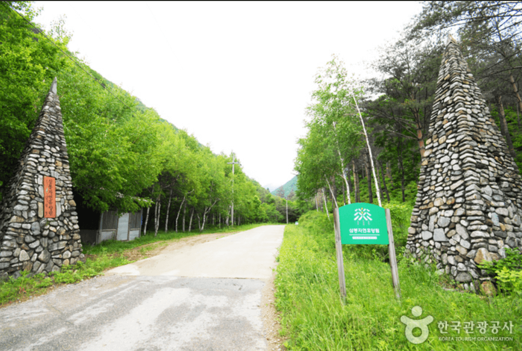 국립 삼봉자연휴양림 