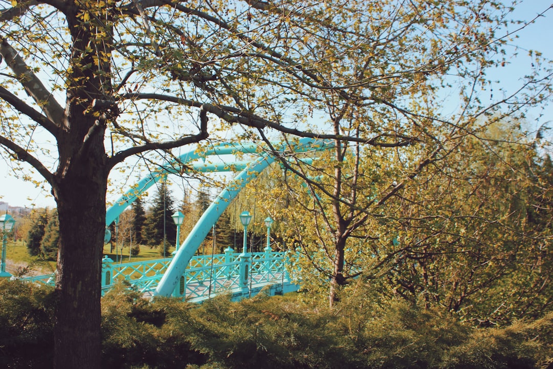 Bridge.