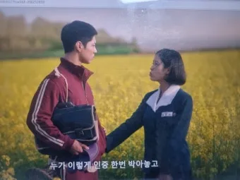 폭삭 속았수다 뜻과 해석_20