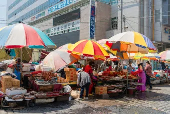 부산 자갈치시장 먹거리 투어 바다의 맛 체험_47