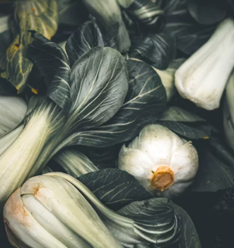 청경채 효능 부작용 고르는법 칼로리