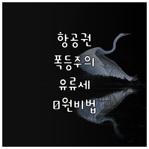 치솟는 항공권 가격 분석과 유류할증료..