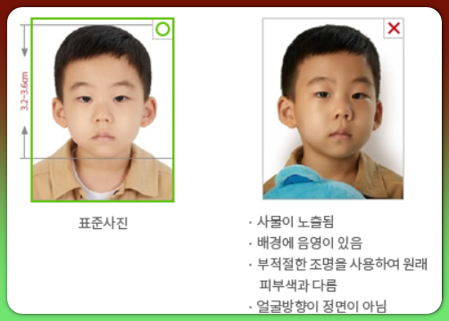 여권사진 영유아