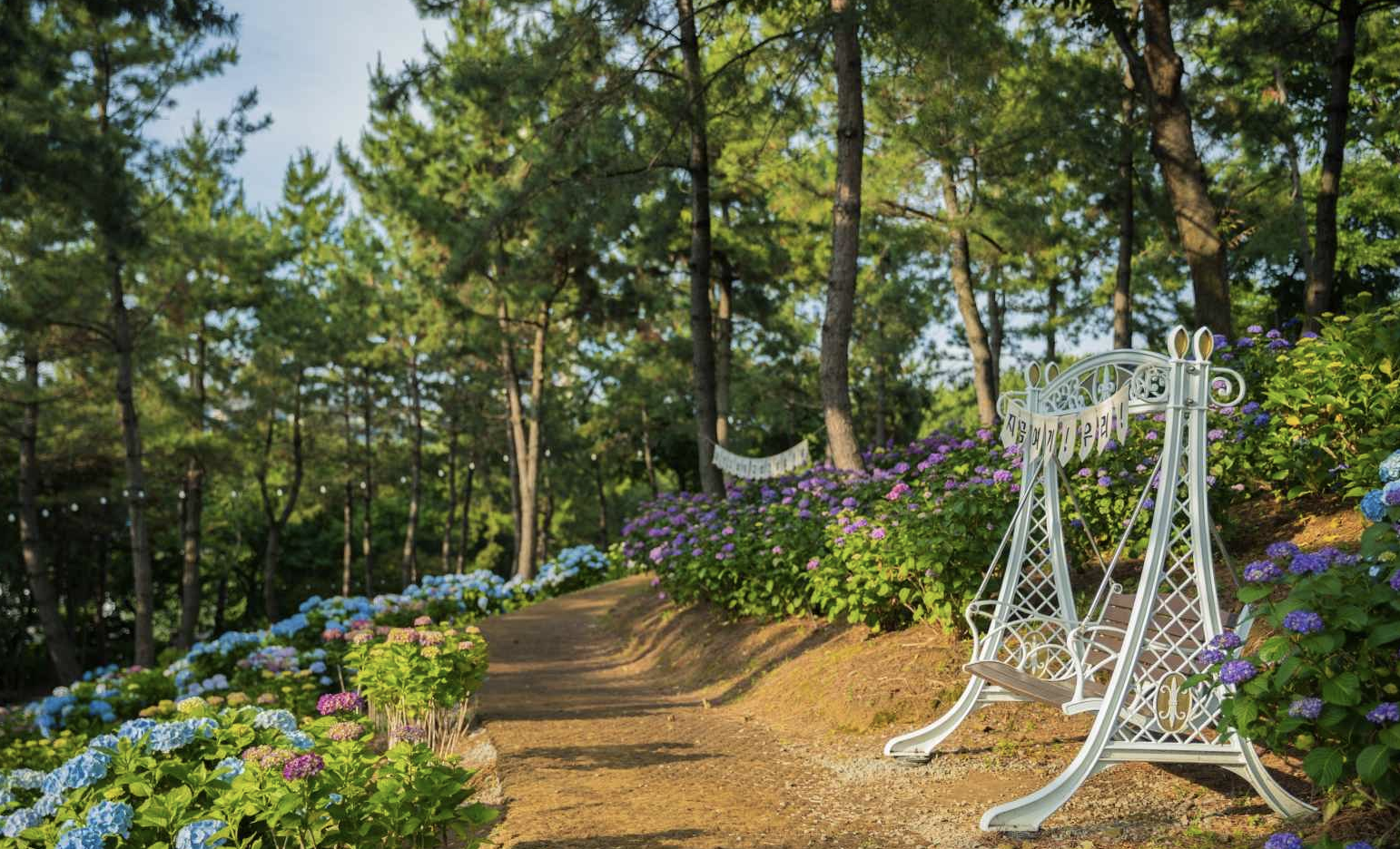 장생포 수국축제