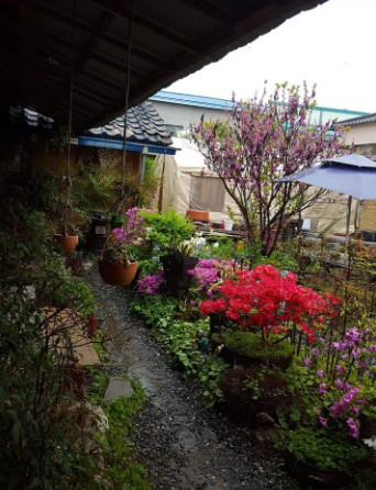 백반기행 금산 인삼한정식 인상튀김 맛집