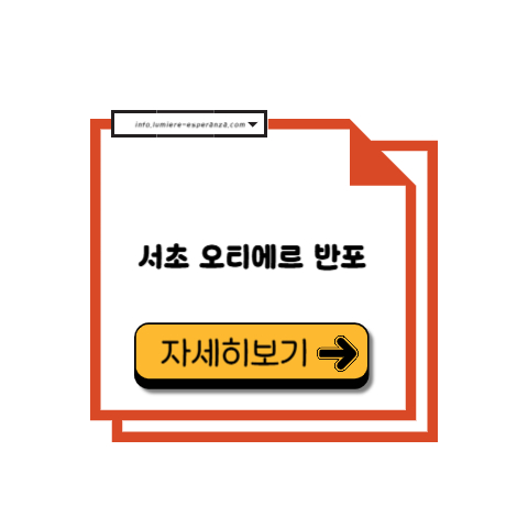서초 오티에르 반포