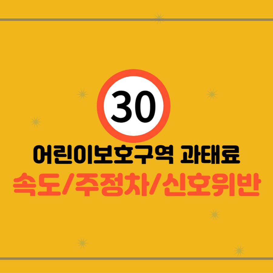 어린이보호구역 속도위반 /주정차/신호위반 과태료