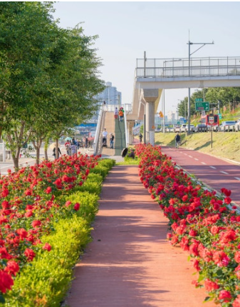 서울 장미축제 일정