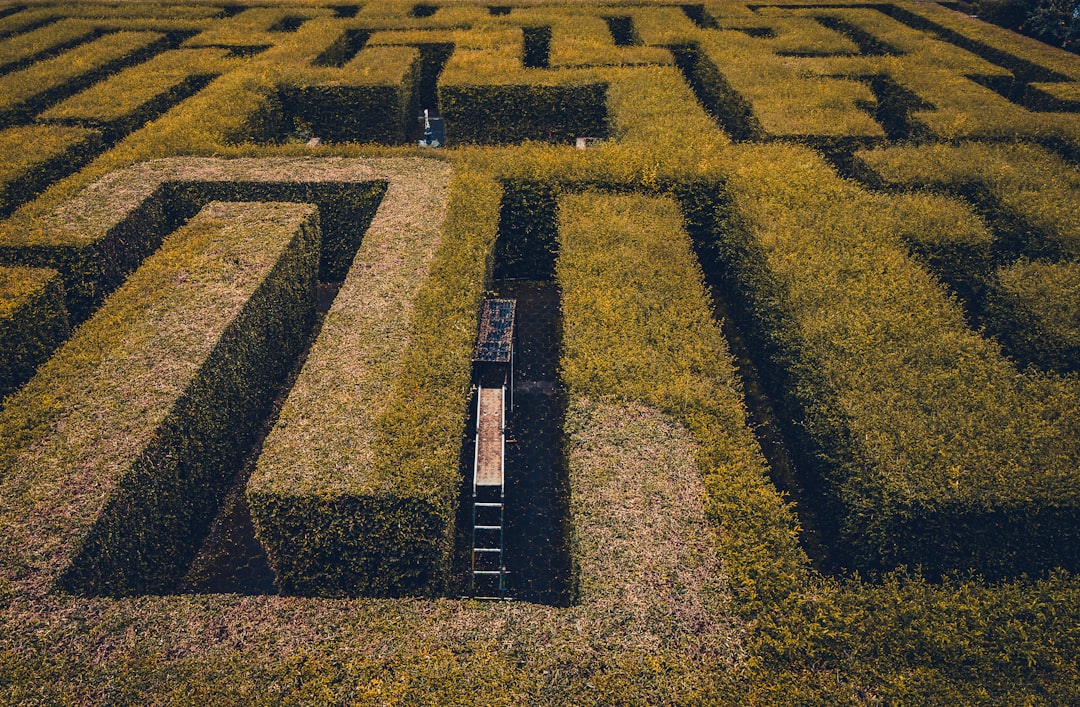 Smart Farm
