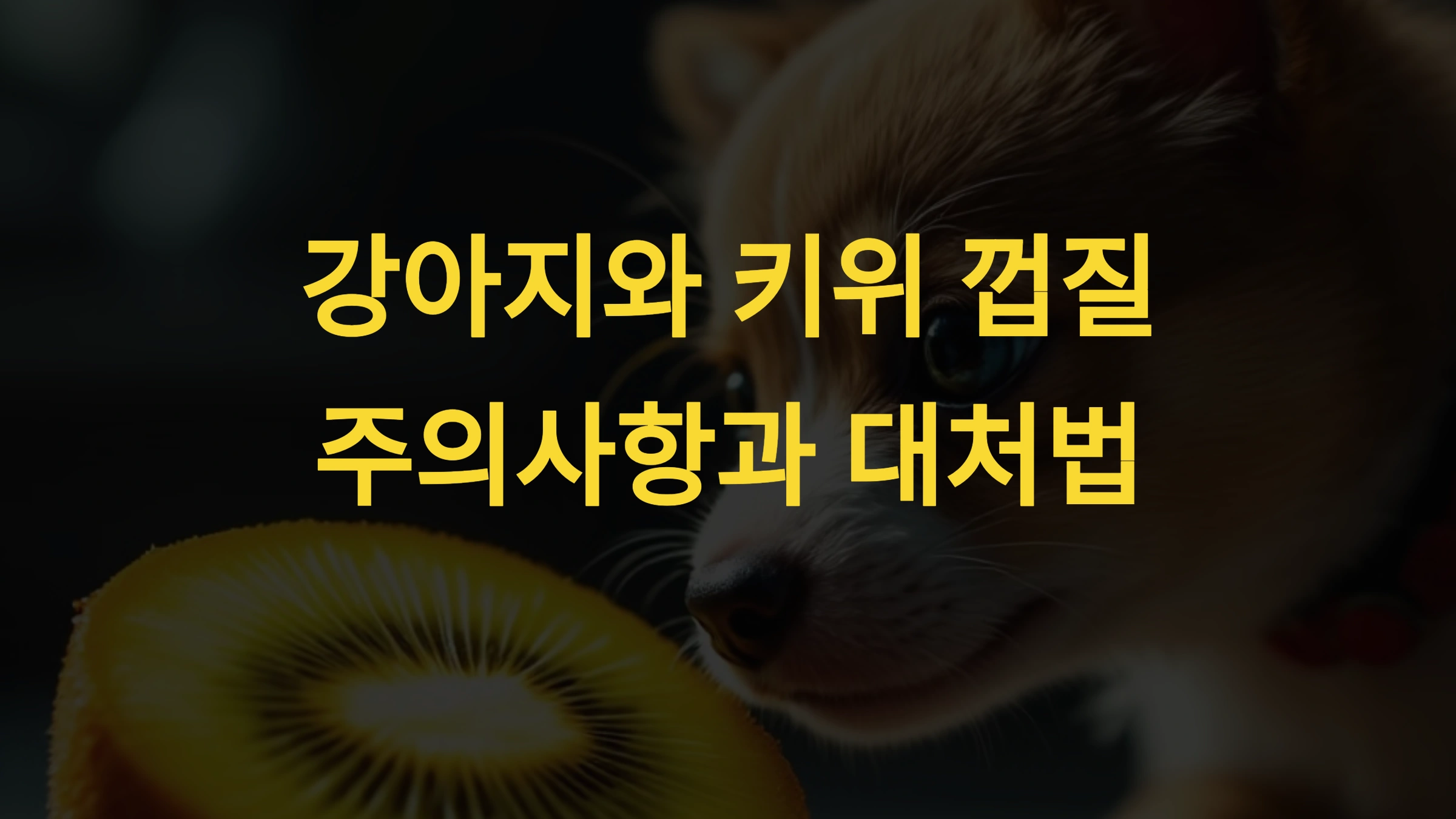 강아지가 키위 껍질을 먹었을 때 주의사항