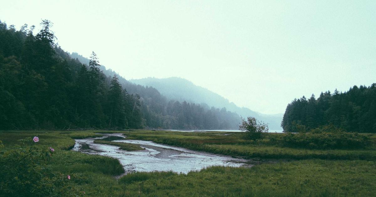 a person happily opening a well-organized refrigerator full of fresh ingredients, with a meal plan on a whiteboard nearby