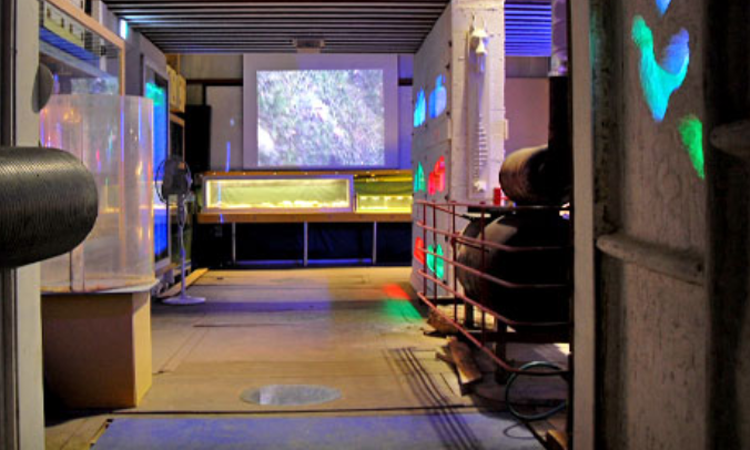 속초 테라크랩팜