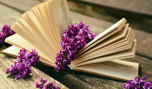 회복 중 가장 힘이 되었던 나만의 문장