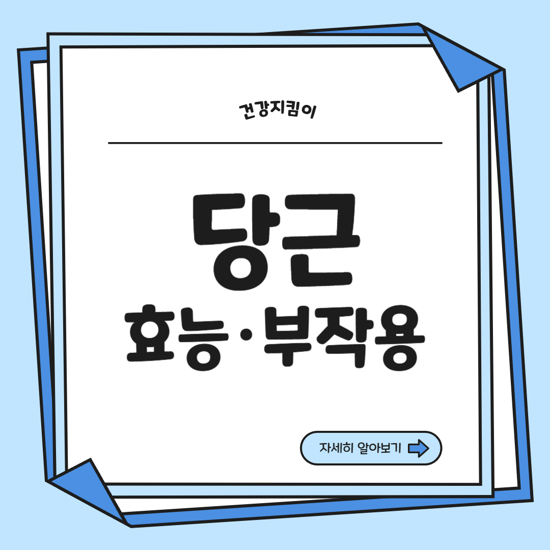 당근 효능 부작용 고르는법 칼로리