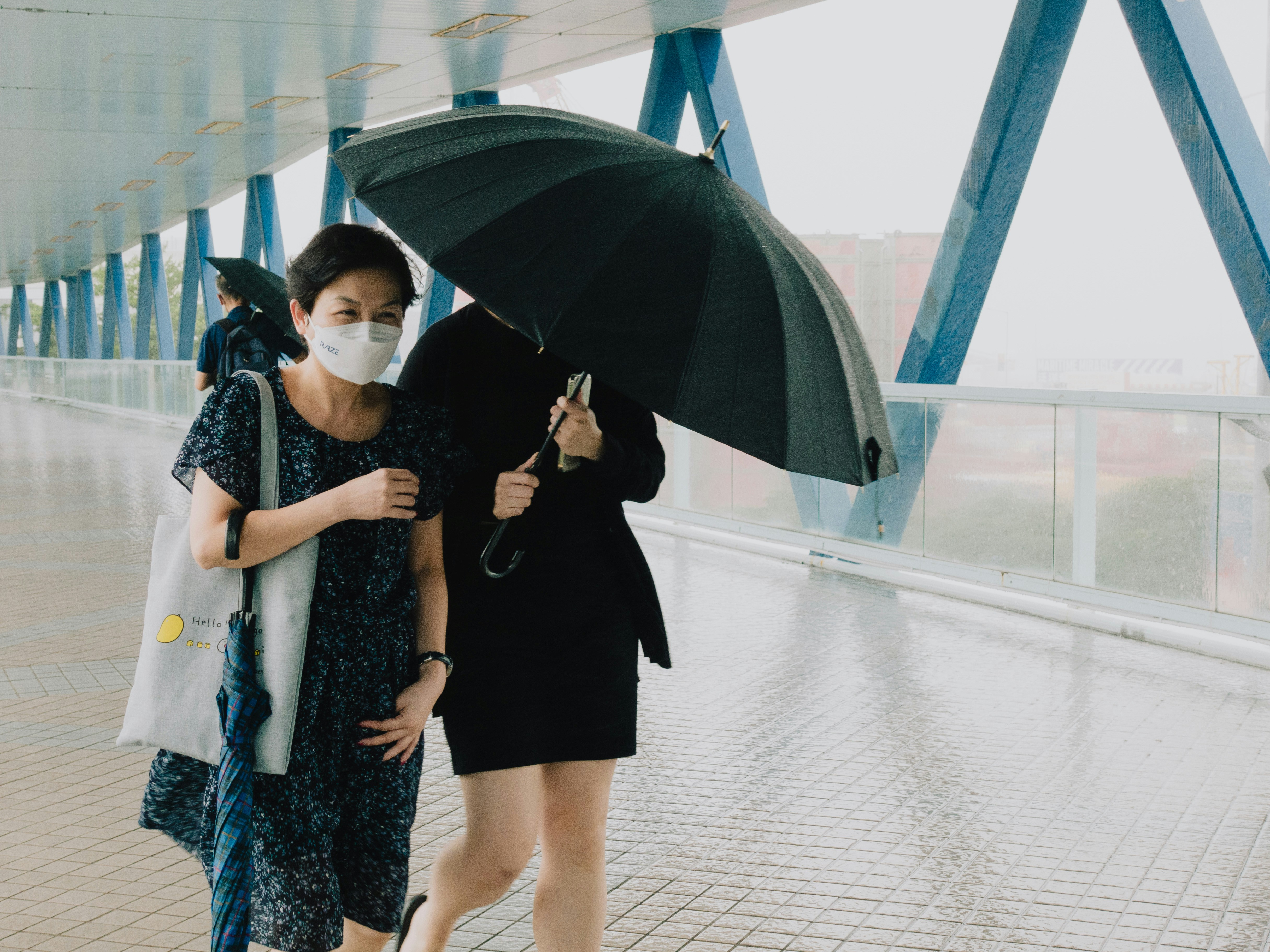 한반도 폭염특보 지역 분포도