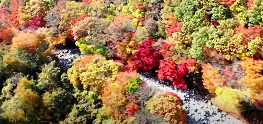 2023년 단풍시기