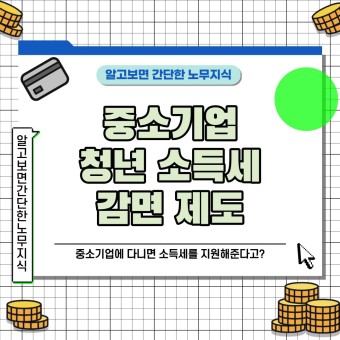 중소기업 청년 소득세 감면제도 지원 방법, 자격 기준 및 역할, 배경