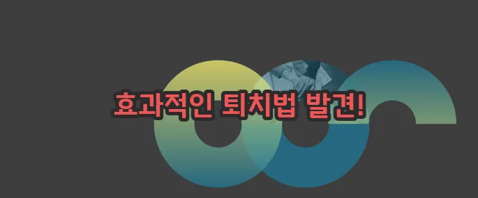바퀴벌레 퇴치방법 자세히 알아볼게요
