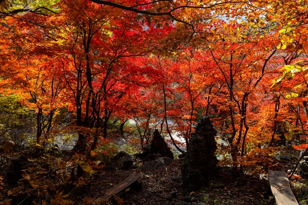 축령산