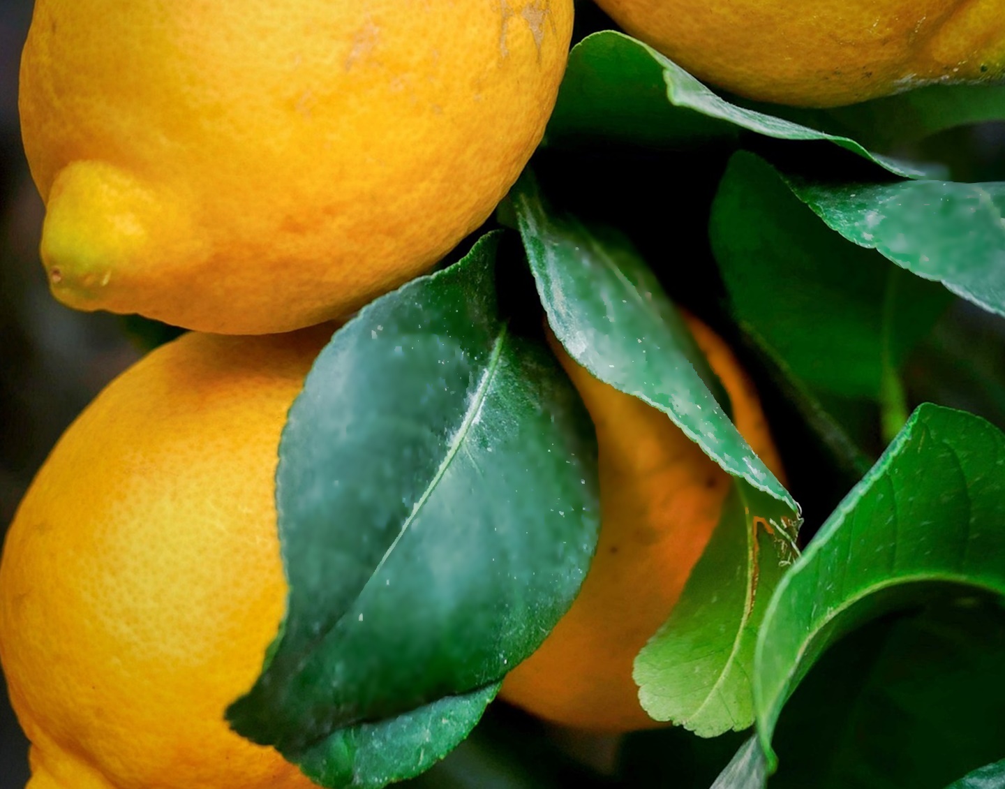 당뇨 전단계에서 가장 먼저 흔들리는 &lsquo;하루 혈당 리듬&rsquo; 