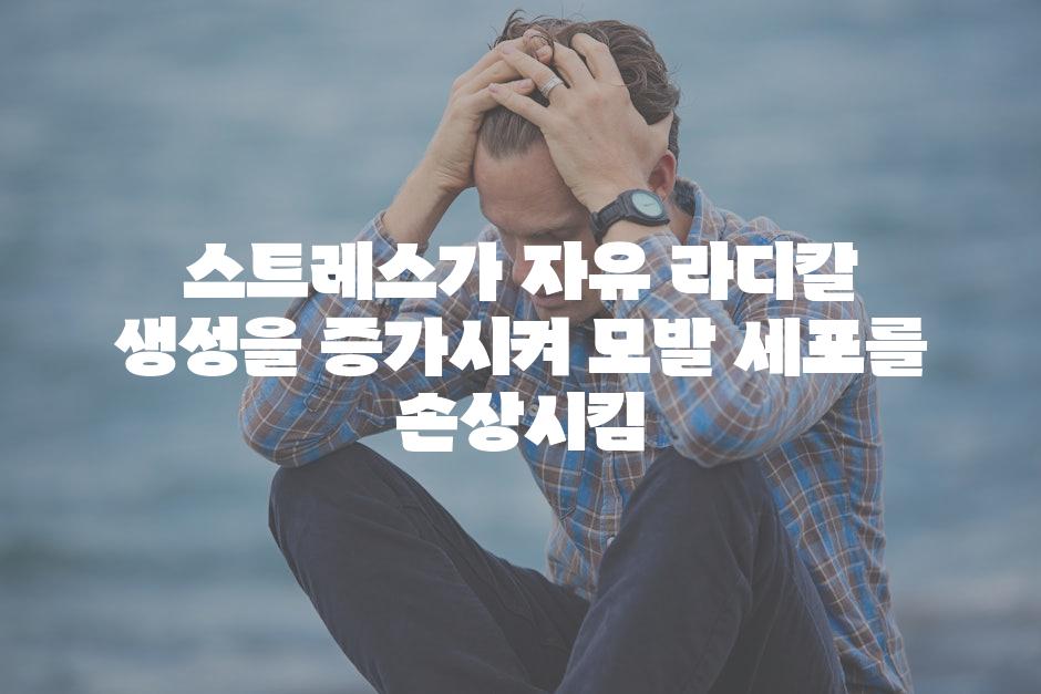 스트레스가 자유 라디칼 생성을 증가시켜 모발 세포를 손상시킴