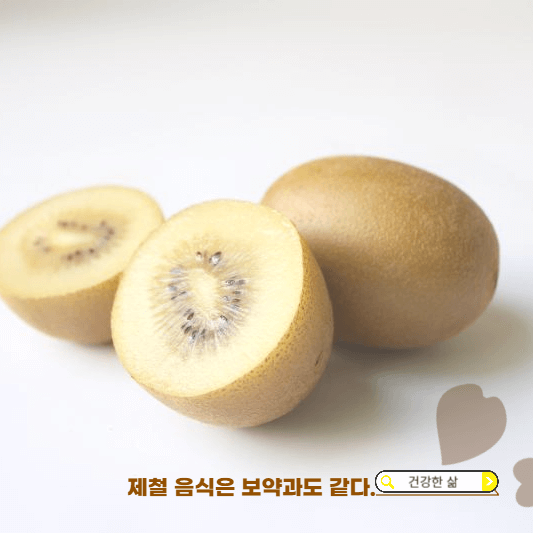11월 제철과일