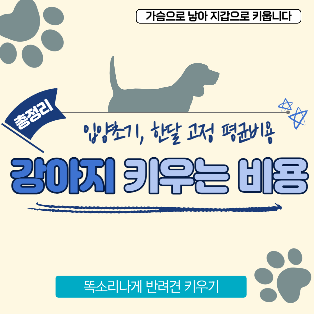 강아기 키우는 데 드는 비용 총정리