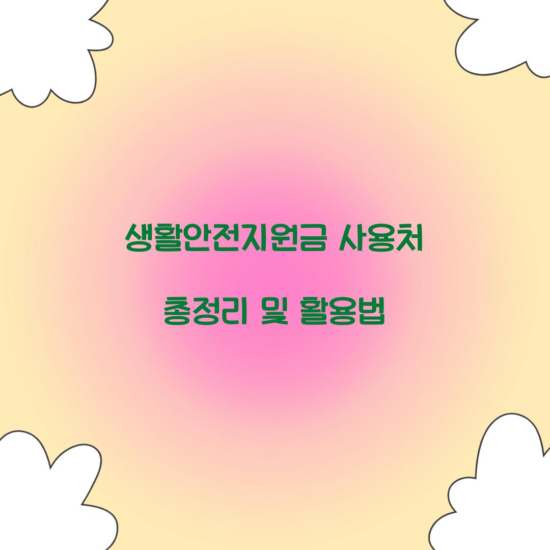 생활안전지원금 사용처