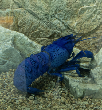 부산 명지 아쿠아 키즈카페 아쿠아플레이하우스