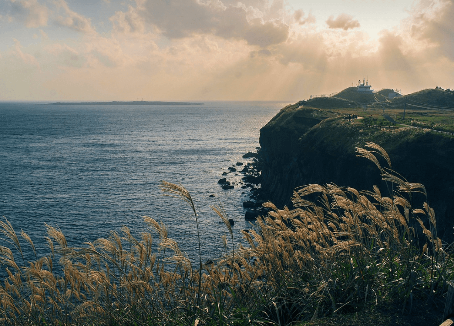 제주도 항공권 예약하기