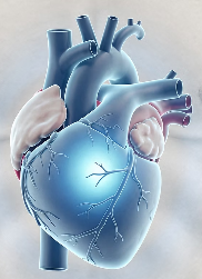 협심증 초기증상