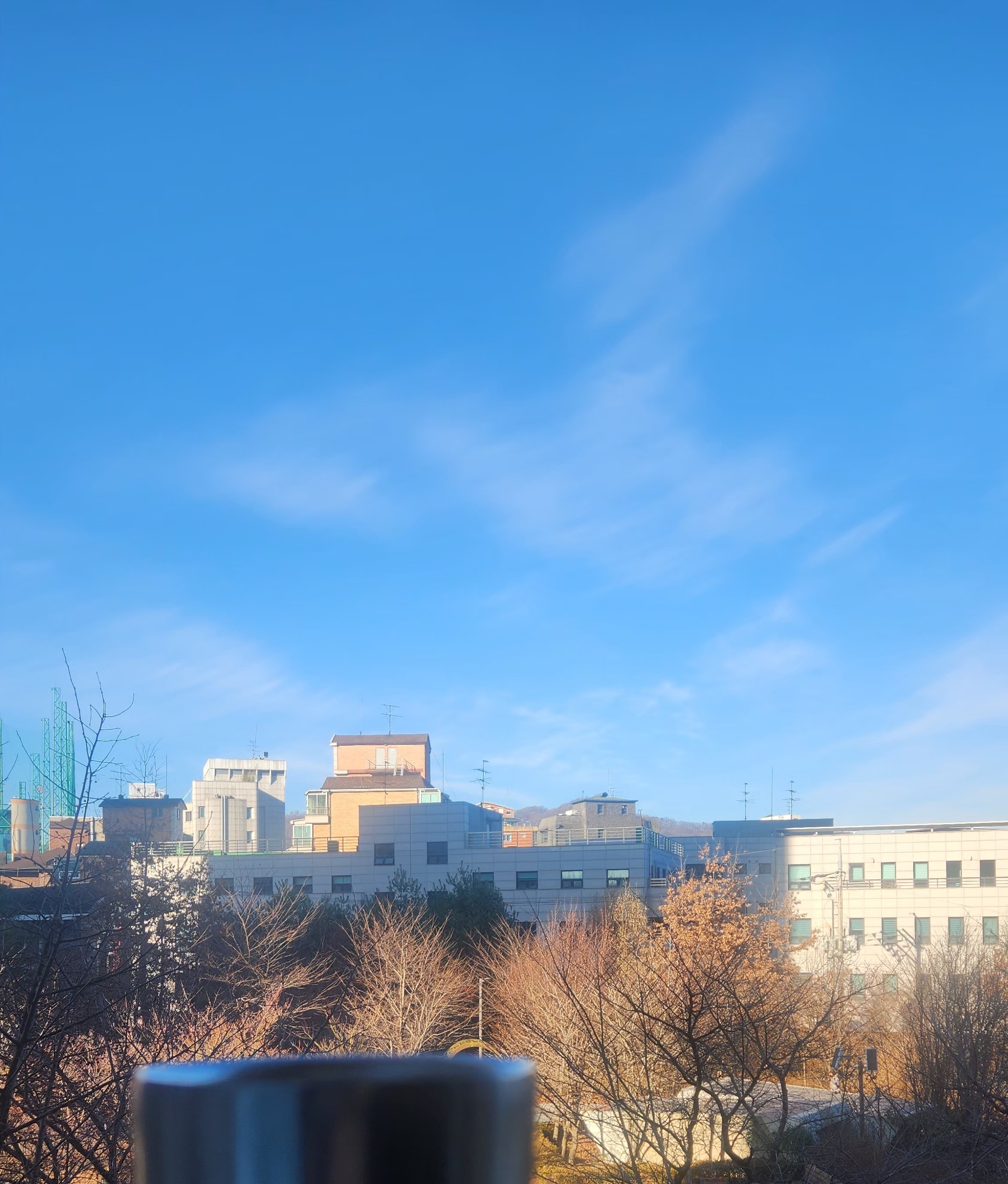 서울 서초구 어느 도서관에서 찍은 커피와 함께 푸른 하늘