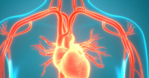 콜라겐의-효능-콜라겐-부작용-건강