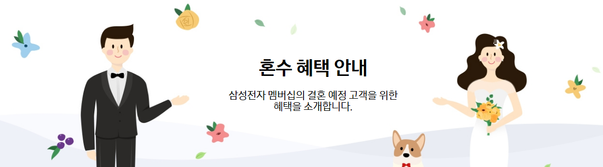 혼수 기획전