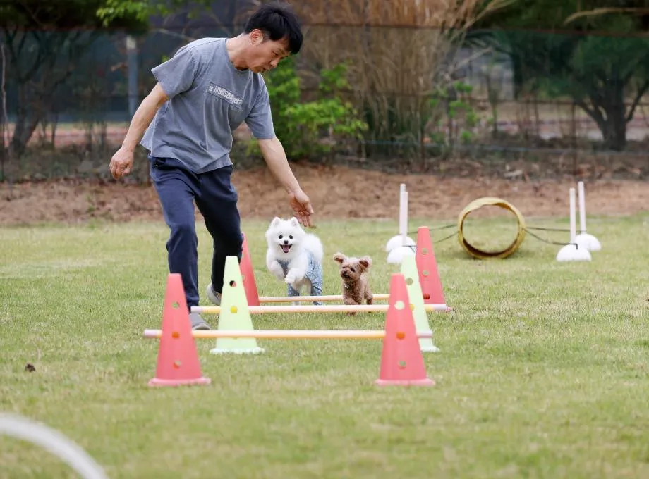 반려동물 숙박대전
