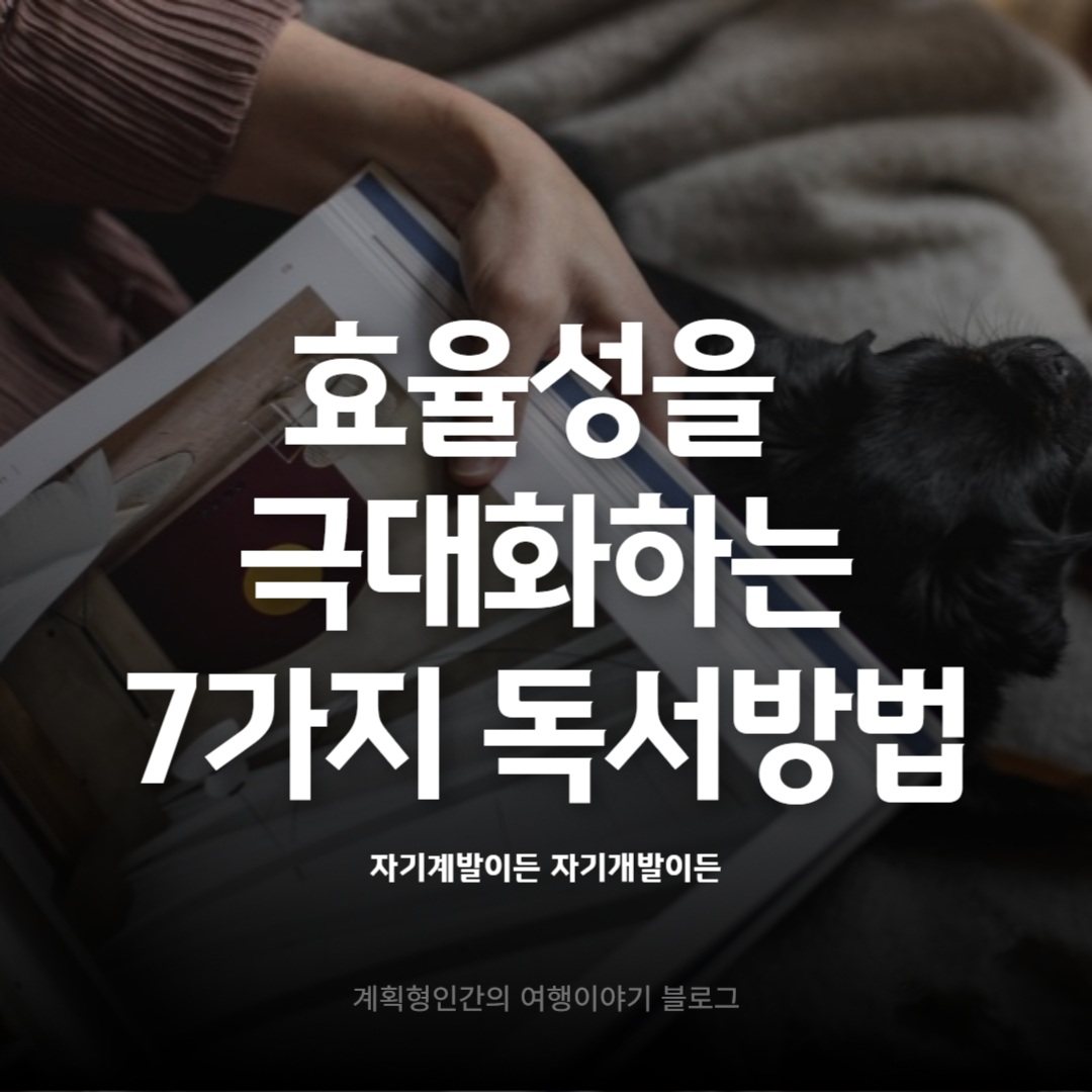 효율성을-극대화하는-7가지-독서방법