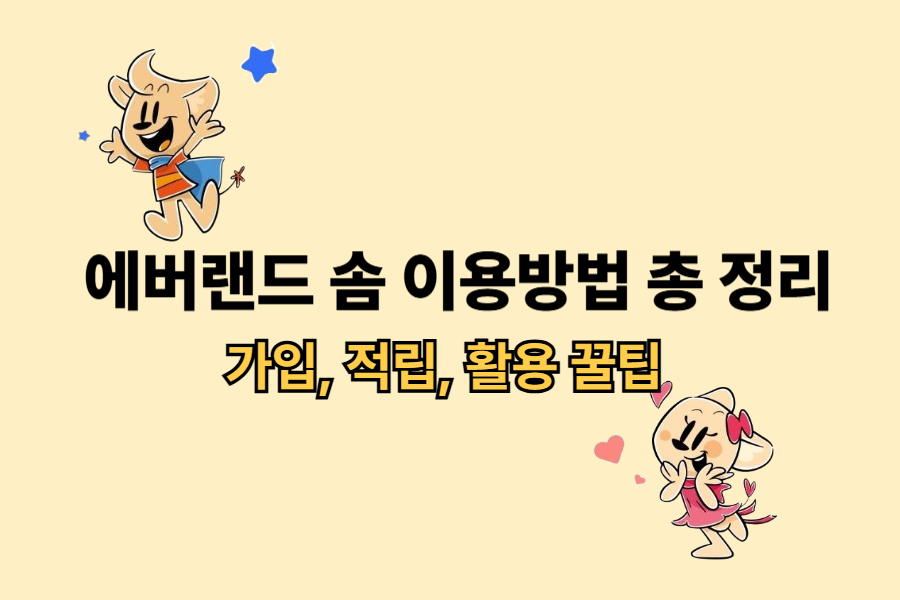 에버랜드 솜 이용방법