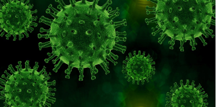 장내 미생물(마이크로바이옴)이 정신건강에 미치는 영향