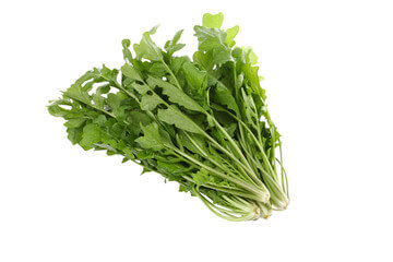 지방간에 좋은 음식 11가지 원인과 증상을 알아봤습니다.